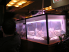 s_A_PICT0261_thumb.png